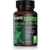 Alavis Maxima Magnezium ULTRA+B6 kapsuly na podporu zdravia nervovej sústavy 60 cps