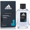 Adidas Ice Dive EDT 100ml