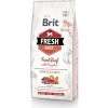 BRIT Dog Fresh Beef & Pumpkin Puppy Large 2,5 kg