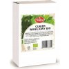 Amylon Vanilkový cukor BIO 100 g