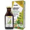 SALUS Floradix Gallexier tekutá forma 1x250 ml