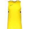 Nike Dri-FIT Academy 21