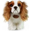 Rappa Plyšový pes King Charles španiel 25 cm