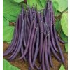 Fazuľa špargľová Purple Teepee 20 g