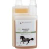 Waldhausen Broncho Liquid – dýchacie cesty, 1 l