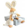 Doudou Darčeková sada - plyšový zajačik s dečkou 31 cm béžový