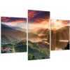 Moderné obraz - príroda (Obraz 90x60cm)