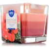 BISPOL Hibiscus - White sage170g