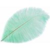 Pštrosie perie dĺžka cca 20-25 cm - mint (2 ks) - VÝPREDAJ