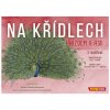 MINDOK Na křídlech - Hnízdem v Asii