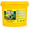 Tropical Super Spirulina Forte 1 kg