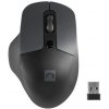 Natec optická myš BLACKBIRD 2/1600 DPI/Kancelárska/Optická/1 600 DPI/Bezdrôtová USB/Čierna NMY-1874
