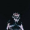Nothing - Great Dismal / Coloured / Vinyl [LP]
