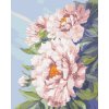 ZUTY Maľovanie podľa čísel - KVETY RUŽOVÉ PIVÓNIE Rámovanie: bez rámu a bez vypnutia plátna, Rozmer: 80x100 cm