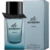 Burberry Mr. Burberry Element, Toaletná voda 100ml - Tester pre mužov