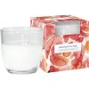 Bispol Aura Red Fruits & Aloe 100 g