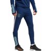 Nohavice adidas AJAX TR PNT hz7780 Veľkosť XS