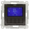 Termostat s displejom, antracitová