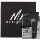 Mr. Burberry toaletná voda pánska 50 ml