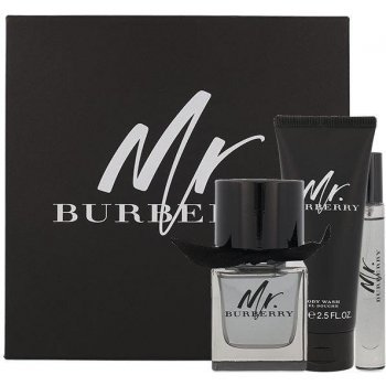 Mr. Burberry toaletná voda pánska 50 ml