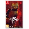 Stray NSW