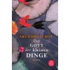 Der Gott der kleinen Dinge (Arundhati Roy,Anette Grube)(Brožovaná)