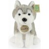 Rappa Plyšový pes husky sedící 23 cm SOFT COLLECTION, ECO-FRIENDLY