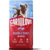 CARNILOVE ACTIVE Dog Dry Made with Salmon & Turkey for Puppies 12 kg