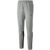 Puma Team Cup Casuals Pants 657988-013