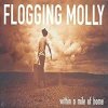 Vinyl Flogging Molly - WITHIN A MILE OF HOME (2025)