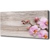 Moderný fotoobraz canvas na ráme Orchidea na strome 100x50 cm