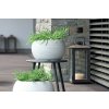 Prosperplast Kvetináč na terasu FURU s vkladom DBFUK440 43,5cm biely