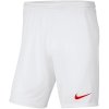 Pánske šortky Park III M BV6855 103 - Nike XXL