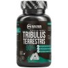 MAXXWIN Tribulus Terrestris 90% 60 kapsúl