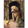 Royal Langnickel Malování podle čísel Pejsek s kuřátkem 22 x 30 cm