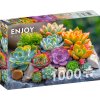 ENJOY Sukulenty 1000 dielov