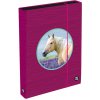 Box na zošity A4 Jumbo OXY Sherpy Pink