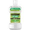 Listerine Premium ústna voda s jemou príchuťou pre svieži dych, 500 ml
