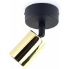 TK Lighting Top stropné svietidlo 1x10 W čierna-zlatá 6088