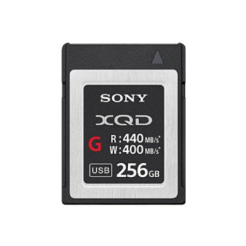 Sony 256GB QDG256E