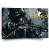 Sablio Obraz CS:GO Vojak 1 - 60x40 cm