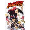 Daredevil: Parts Of A Hole