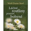 Léčivé rostliny prastaré bohyně Jak se v pohádkách vrátit k pradávným duchovním kořenům