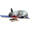 Agility Wippe 60 x 18 x 12 cm