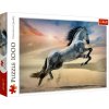 Puzzle 1000 dielikov Majestic Horse 10790 Clubs