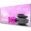 Nástenný panel Kvet kamene umenie 100x50 cm