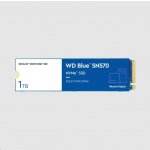 WD Blue SN570 1TB, WDS100T3B0C