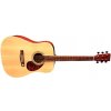 Tenson Dreadnought D10 Natural