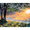 ZUTY Maľovanie podľa čísel - SKORÉ RÁNO V LESE Rámovanie: bez rámu a bez vypnutia plátna, Rozmer: 40x50 cm