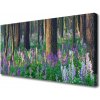 Obraz na plátne Les kvety príroda 100x50 cm